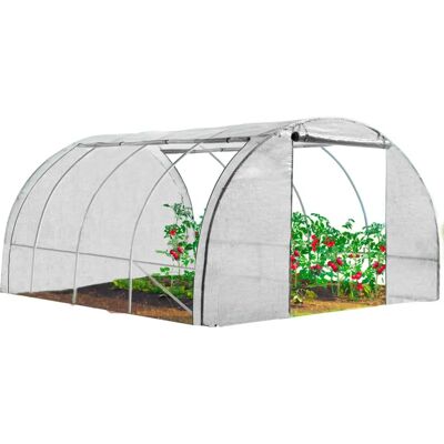 IDMARKET Zebra 4x3M Garten-Gewächshaus - 4-Jahreszeiten Wetterfest IDMARKET Zebra 4x3M Garten-Gewächshaus - 4-Jahreszeiten Wetterfest