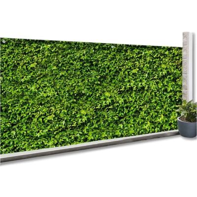 IDMARKET Sichtschutz - Blattmuster - 2x10m IDMARKET Sichtschutz - Blattmuster - 2x10m