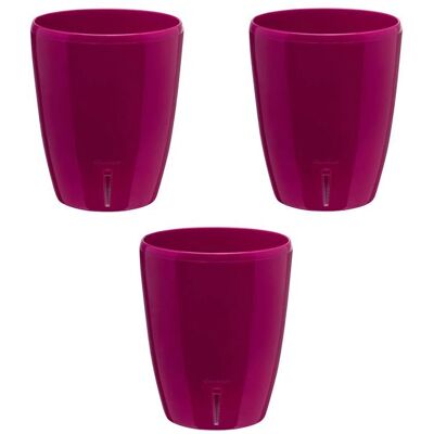 GT GARDEN - Orchidea Pourpre 2L - Purple - 2L - Plant pot - Publicité GT GARDEN - Orchidea Pourpre 2L - Purple - 2L - Plant pot - Publicité