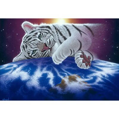 Grafika Schim Schimmel Puzzle - 1500 Pièces - Collection de Puzzles Grafika Schim Schimmel Puzzle - 1500 Pièces - Collection de Puzzles