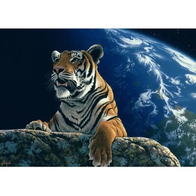 Grafika 00433 - Animaux Cosmiques 1500 Pièces - Puzzle Grafika 00433 - Animaux Cosmiques 1500 Pièces - Puzzle