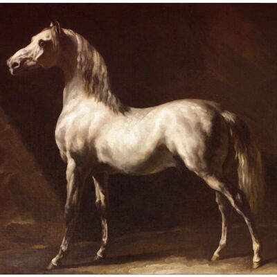 Grafika Cheval Arabe Gris-Blanc Παζλ 1000 κομματιών - Συλλογή Τέχνης Grafika Cheval Arabe Gris-Blanc Παζλ 1000 κομματιών - Συλλογή Τέχνης