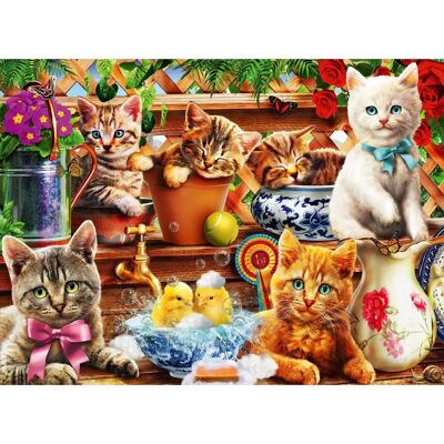 Bluebird Puzzle Koťata ve Sklepě - 3000 Dílů Bluebird Puzzle Koťata ve Sklepě - 3000 Dílů
