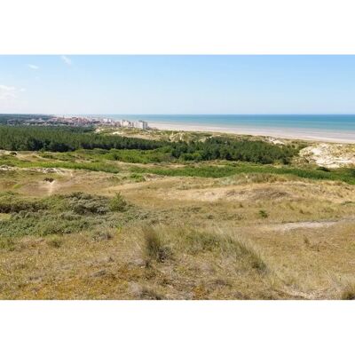 Bluebird Dunes d'Hardelot - Puzzle 1000 pièces Bluebird Dunes d'Hardelot - Puzzle 1000 pièces