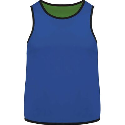 Gilet Réversible de Rugby Proact - Bleu/Vert - 10/14 - Publicité Gilet Réversible de Rugby Proact - Bleu/Vert - 10/14 - Publicité