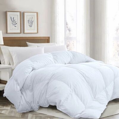 SAMPUR - Piumone Alta Qualità 100% Piuma - 200x200 cm - duvet - Publicité SAMPUR - Piumone Alta Qualità 100% Piuma - 200x200 cm - duvet - Publicité
