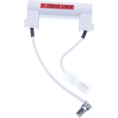LG - 6901W1A001A - 0.7A - Fusibile alta tensione LG - 6901W1A001A - 0.7A - Fusibile alta tensione