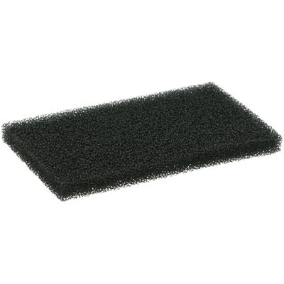 Filtro uscita aria Bosch Modello 172139 - Ricambio aspirapolvere Filtro uscita aria Bosch Modello 172139 - Ricambio aspirapolvere