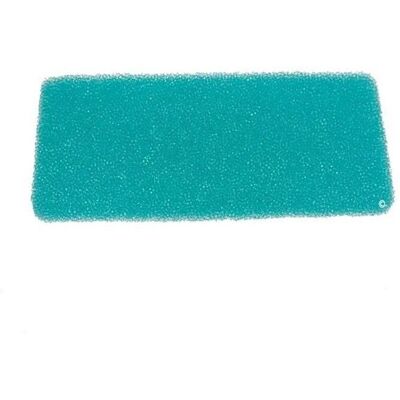 Filtro in Schiuma Verde LG Modello 89827 - Accessorio per Aspirapolvere Robot Filtro in Schiuma Verde LG Modello 89827 - Accessorio per Aspirapolvere Robot