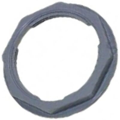 Bauknecht - Contenitore sale - Lavastoviglie 314064 Bauknecht - Contenitore sale - Lavastoviglie 314064