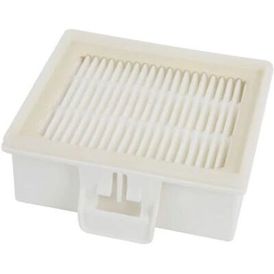 Filtro HEPA originale Bosch 298021 - Aspirapolvere Filtro HEPA originale Bosch 298021 - Aspirapolvere