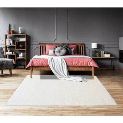 Jadorel Tapis shaggy à poils longs 200x290 - Décoration intérieure - Publicité Jadorel Tapis shaggy à poils longs 200x290 - Décoration intérieure - Publicité