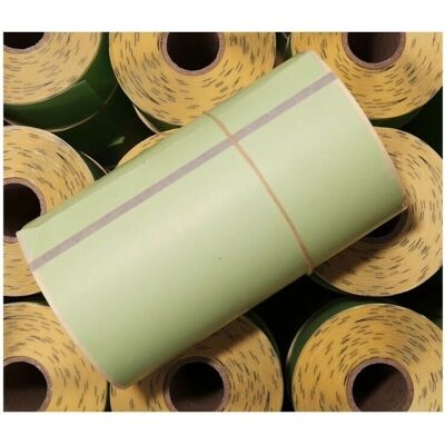 Zebra 3010441-2T - 6 Rolls of 230 Labels - Green Zebra 3010441-2T - 6 Rolls of 230 Labels - Green