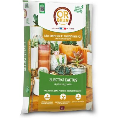 Substrat Cactus et Plantes grasses - 6L - Favorise la Croissance - Publicité Substrat Cactus et Plantes grasses - 6L - Favorise la Croissance - Publicité