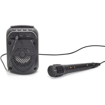 Modèle générique - Haut-parleur karaoké sans fil - Compact 5W - Divertissement - Publicité Modèle générique - Haut-parleur karaoké sans fil - Compact 5W - Divertissement - Publicité