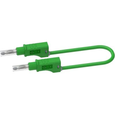 Electro PJP 2217/600V-CD1-200V Testleiding - Testleiding Electro PJP 2217/600V-CD1-200V Testleiding - Testleiding