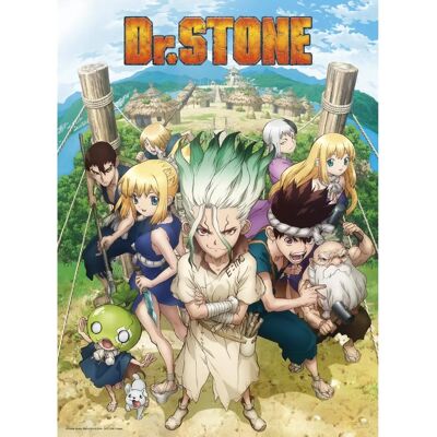 Abystyle Dr. Stone Csoportposzter - 52x38cm Abystyle Dr. Stone Csoportposzter - 52x38cm