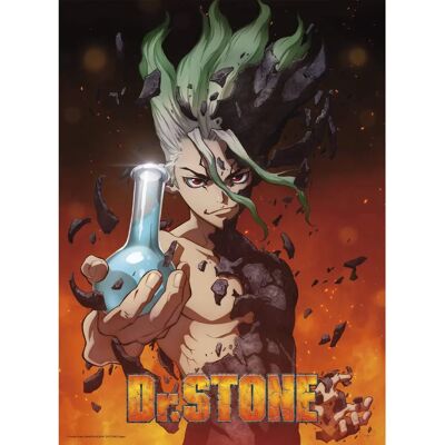 Affiche Abystyle Senku 52x38 cm - Art mural d'anime Affiche Abystyle Senku 52x38 cm - Art mural d'anime