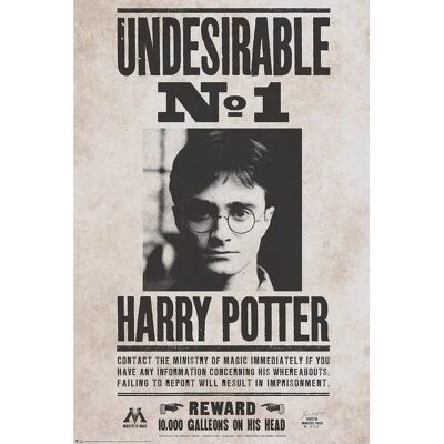Plakát Harry Potter Nechtěný č. 1 - 61 x 91.5cm Plakát Harry Potter Nechtěný č. 1 - 61 x 91.5cm