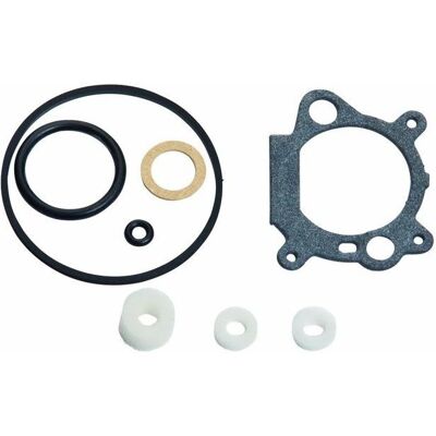 Kit guarnizioni carburatore Briggs & Stratton - Compatibile con molti modelli Kit guarnizioni carburatore Briggs & Stratton - Compatibile con molti modelli