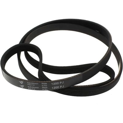 Generic - 1200J5 - Faure - Electrolux - Cinghia lavatrice Generic - 1200J5 - Faure - Electrolux - Cinghia lavatrice