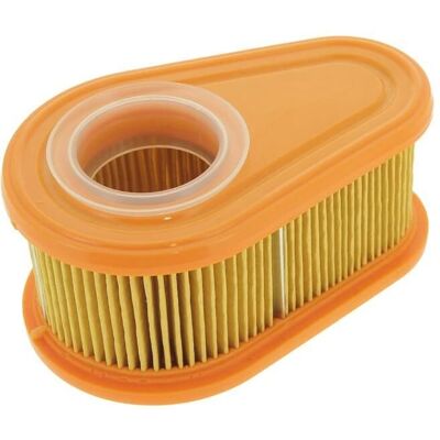 Filtre à air Briggs & Stratton 792038 - Compatible avec Série 090602, 700e dov, 750e dov - Publicité Filtre à air Briggs & Stratton 792038 - Compatible avec Série 090602, 700e dov, 750e dov - Publicité
