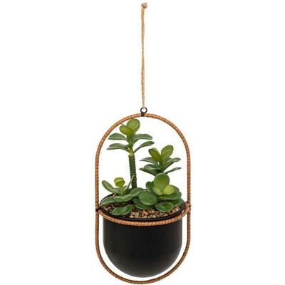 Atmosphera - plante suspendue avec pot en métal - 31 cm - Plante - Publicité Atmosphera - plante suspendue avec pot en métal - 31 cm - Plante - Publicité