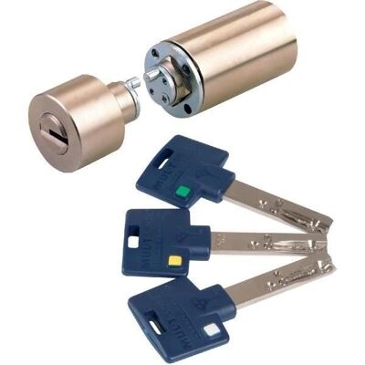 Mul-t-lock - Cylindre Kreno MTL600 - Serrure en laiton haute sécurité - 3 clés - Publicité Mul-t-lock - Cylindre Kreno MTL600 - Serrure en laiton haute sécurité - 3 clés - Publicité