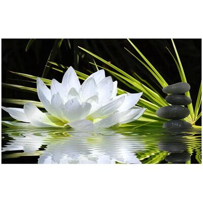 Affiche Hexoa Vert - Atmosphère Zen et Fleur de Lotus - 60x40cm - Publicité Affiche Hexoa Vert - Atmosphère Zen et Fleur de Lotus - 60x40cm - Publicité