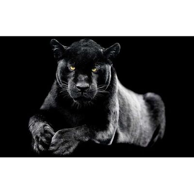 Hexoa Panther noir 80x50cm - Peinture - Fabriqué en France - Publicité Hexoa Panther noir 80x50cm - Peinture - Fabriqué en France - Publicité