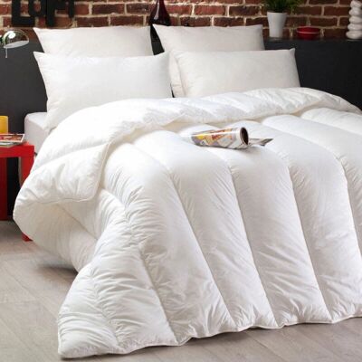 UNIVERS DECOR - Dodo Microstar - 140x200 - Anti-Acariens - couette - Publicité UNIVERS DECOR - Dodo Microstar - 140x200 - Anti-Acariens - couette - Publicité