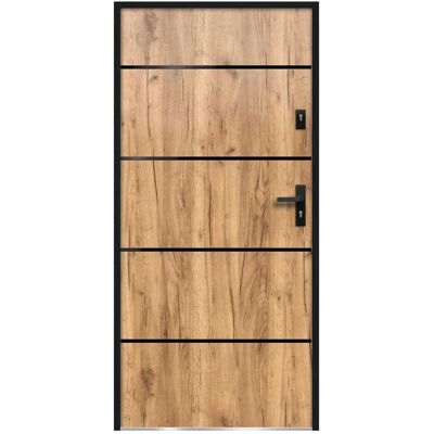 Unique Steel and Stainless Steel Door - 207x100cm - Safety & Design Unique Steel and Stainless Steel Door - 207x100cm - Safety & Design
