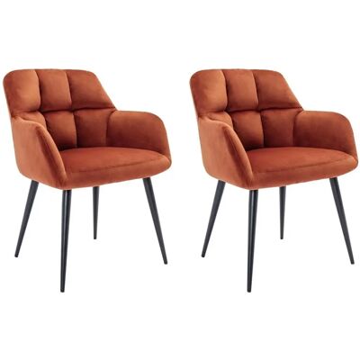 Pascal Morabito - Samtarmchair Set - 2 oder 6 - Modernes Interieur Pascal Morabito - Samtarmchair Set - 2 oder 6 - Modernes Interieur