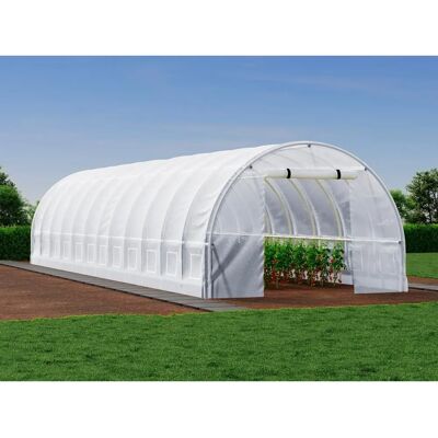 Vente-unique Gewächshaus Tunnel mit Stahlrahmen 36 m² - L300 x l1200 x H200 cm - Weiß - ipomea Vente-unique Gewächshaus Tunnel mit Stahlrahmen 36 m² - L300 x l1200 x H200 cm - Weiß - ipomea