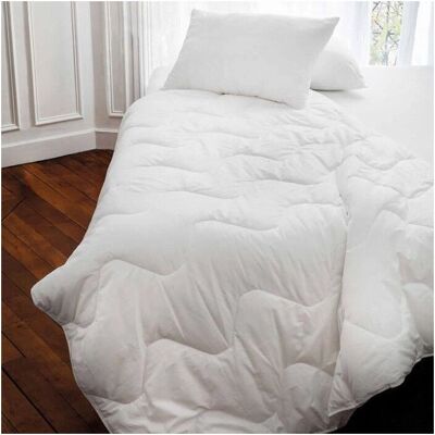 Oreiller Toison D'or - 60x60 cm - Blanc - Confort moyen - Publicité Oreiller Toison D'or - 60x60 cm - Blanc - Confort moyen - Publicité