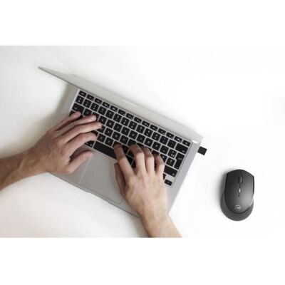 Souris sans fil Logitech - Rechargeable USB-C - Support double dongle - Publicité Souris sans fil Logitech - Rechargeable USB-C - Support double dongle - Publicité