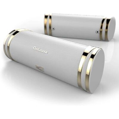 Enceinte Bluetooth portable Cabasse SWELL - Blanc - Publicité Enceinte Bluetooth portable Cabasse SWELL - Blanc - Publicité
