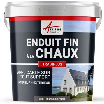 Arcane Industries Tradiplus Enduit fin à la chaux gris foncé - Rendu mural Arcane Industries Tradiplus Enduit fin à la chaux gris foncé - Rendu mural
