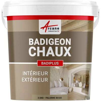 Arcane Industries Badiplus Beige - Peinture murale - 2,5 kg Arcane Industries Badiplus Beige - Peinture murale - 2,5 kg