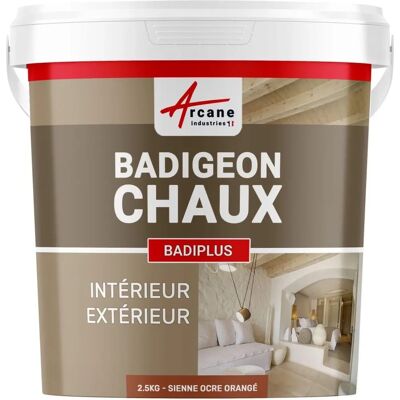 Arcane Industries Badiplus - Enduit minéral résistant aux UV de 2,5 kg pour murs Arcane Industries Badiplus - Enduit minéral résistant aux UV de 2,5 kg pour murs