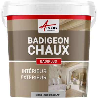 Revêtement mural Arcane Industries Badiplus 2,5kg - Intérieur & Extérieur Revêtement mural Arcane Industries Badiplus 2,5kg - Intérieur & Extérieur