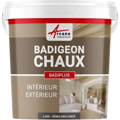 Peinture à la chaux foncée Arcane Industries pour intérieur et extérieur Peinture à la chaux foncée Arcane Industries pour intérieur et extérieur