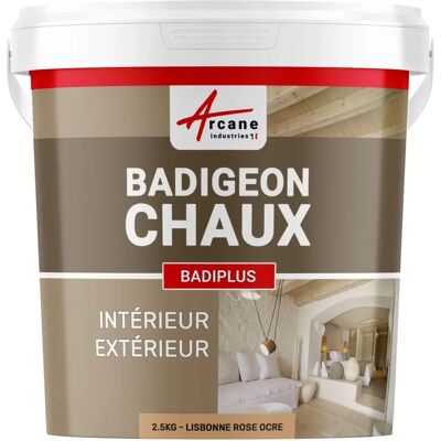 Arcane Industries Badiplus Rose Ocre Peinture murale - Peinture à la chaux - Publicité Arcane Industries Badiplus Rose Ocre Peinture murale - Peinture à la chaux - Publicité