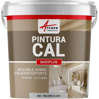 Arcane Industries Badiplus Enduit de chaux - 5kg, gris clair Arcane Industries Badiplus Enduit de chaux - 5kg, gris clair