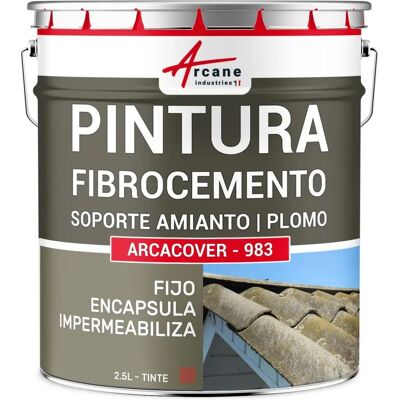 Peinture élastomère pour supports en amiante - 2,5 L Tuile - Arcane Industries - Publicité Peinture élastomère pour supports en amiante - 2,5 L Tuile - Arcane Industries - Publicité