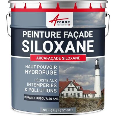 Peinture en Siloxane d'Arcane Industries - Gris Bleu - 10L Peinture en Siloxane d'Arcane Industries - Gris Bleu - 10L