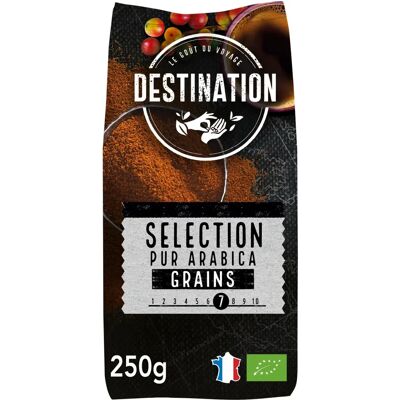 Marke Modell Arabica Bio-Kaffee - Kaffeebohnen Marke Modell Arabica Bio-Kaffee - Kaffeebohnen