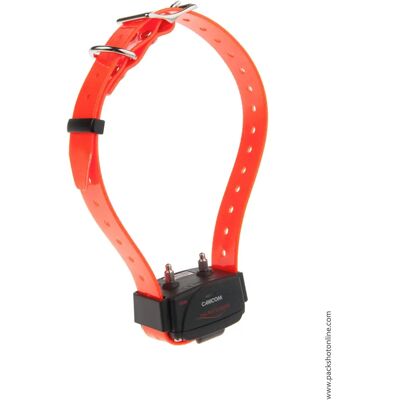 Collier de remplacement Canicom - Orange - Publicité Collier de remplacement Canicom - Orange - Publicité