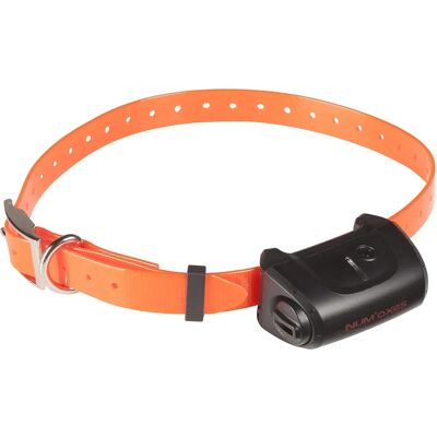 Collier supplémentaire NUM'AXES Canicom 5 Orange - Collier chien - Publicité Collier supplémentaire NUM'AXES Canicom 5 Orange - Collier chien - Publicité