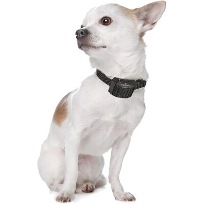 Canicalm Small - Collier Anti-Aboiement pour Petits Chiens Canicalm Small - Collier Anti-Aboiement pour Petits Chiens